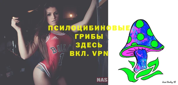 скорость Абаза