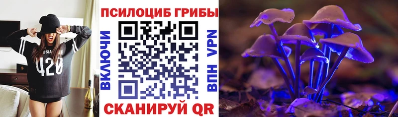Псилоцибиновые грибы MAGIC MUSHROOMS  KRAKEN онион  Кисловодск 